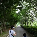 완주에코오토캠핑장 이미지