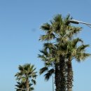 이호MH호텔 이미지