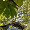 Brae Island Regional Park 이미지