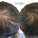 세인자연 이미지