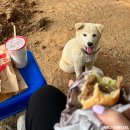 장순농장 이미지