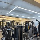 올바름핏PT센터 | 💪 산본 올바름핏 PT센터 | 최철연 트레이너님과 등운동 불태우기 후기!