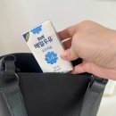 커피125 | 매일우유 미니 125ml 출시 후기, 아이 간식부터 말차라떼까지 딱 좋은 소용량우유