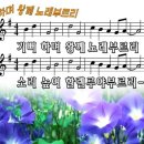 부르리노래로