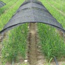 경상북도 농업기술원 이미지