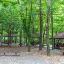 고산자연휴양림 가족휴양관 이미지