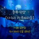 대형열린안경닥터콘택트 | 단양 다누리 아쿠아리움 아이들과 가볼 만한 곳, 이용 안내 및 할인 정보, 국내 최대 민물 생태관...