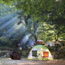 용문산관광지 야영장 이미지