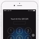 11자리