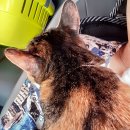 오주동물병원 이미지