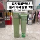 (주)한코교역 | 코 피지 관리 추천｜풀리 피지 멜팅 크림 투 오일 내돈내산 한달 후기