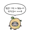 연제구-143 | EP.02 / 6월의 어느날