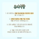 스토리씨즈