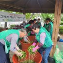 월호동주민센터 이미지