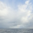 포항제일약국 이미지