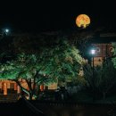 도산시장 이미지