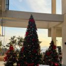 천성대항길 이미지