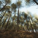 구천동한의원 이미지