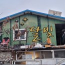 헌복농장 네이버블로그