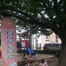 느티나무 도서관 이미지