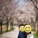 인다락벚꽃길 이미지