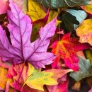 행정사 정귀영사무소 이미지