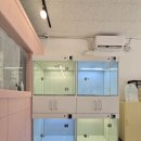 깔끔하개 이미지