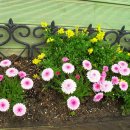 회기어린이집 이미지