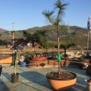 대왕농장 이미지