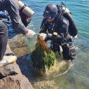 꿈바다협동조합 이미지