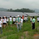 별량그린 이미지