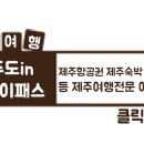 브이패스