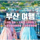 문화캡슐