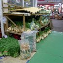 금호강영천 이미지