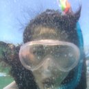 미래대게식당 이미지