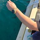 용호민박 이미지