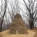 우면산3-8 이미지