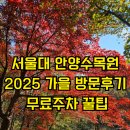 아르테자이(아)경로당 | 서울대 안양수목원 가을 방문기 서울 근교 힐링숲 숲치유 프로그램 후기 무료주차장 꿀팁