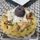 펫리셔스(petlicious) 이미지