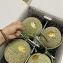 한림산후조리원 이미지