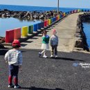 동일리-6 이미지