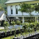 엘포레스트ELFOREST