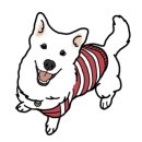 좋아서하는동물병원 이미지