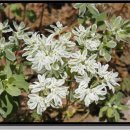 서부농업기술센터 이미지