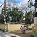 사철슈퍼 | 오사카 벚꽃 개화시기, 4월 초·말 날씨 옷차림과 여행 준비 총정리