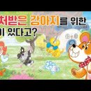 개스트하우스 이미지