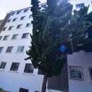 명성타운공인중개사사무소 이미지