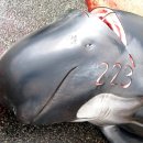 고래사냥 - 부평구 동암남로 11 | 고래사냥