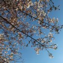 마들스타디움 이미지