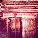 고분양태 이미지